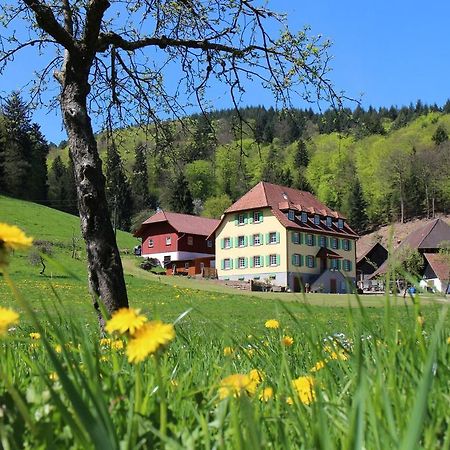 Ferienwohnung Offenburger Hof Schuttertal Exterior foto