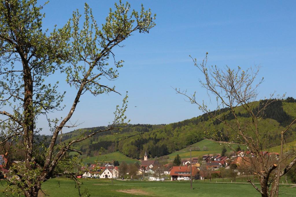 Ferienwohnung Offenburger Hof Schuttertal Exterior foto