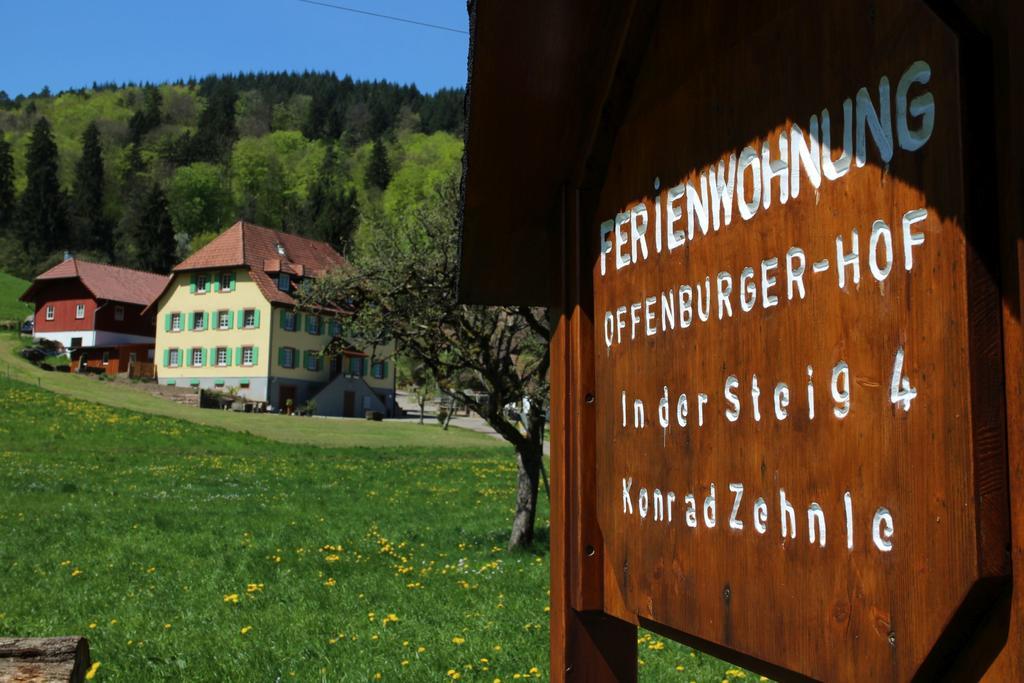 Ferienwohnung Offenburger Hof Schuttertal Exterior foto
